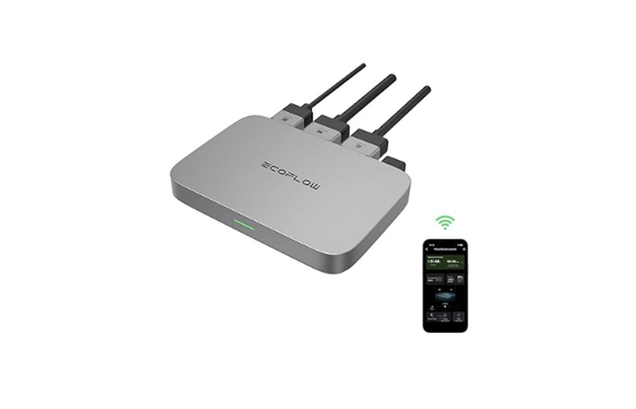 EcoFlow wifi 800W